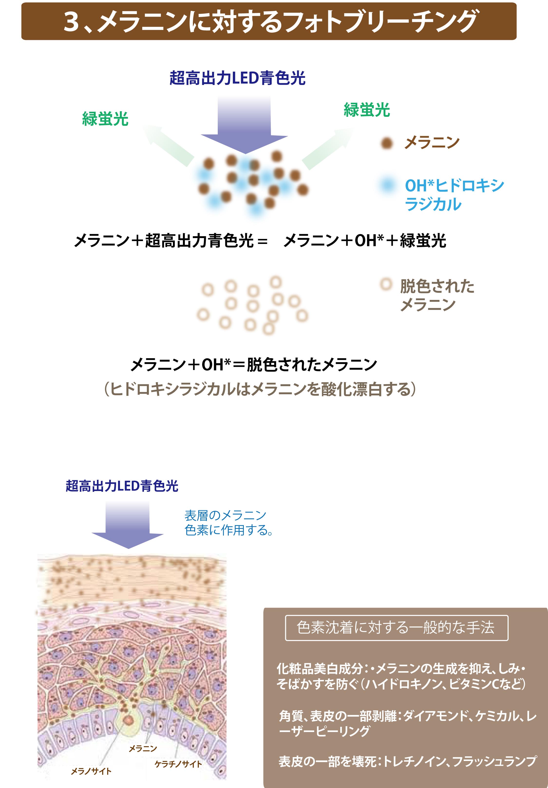 メラニンフォトブリーチング